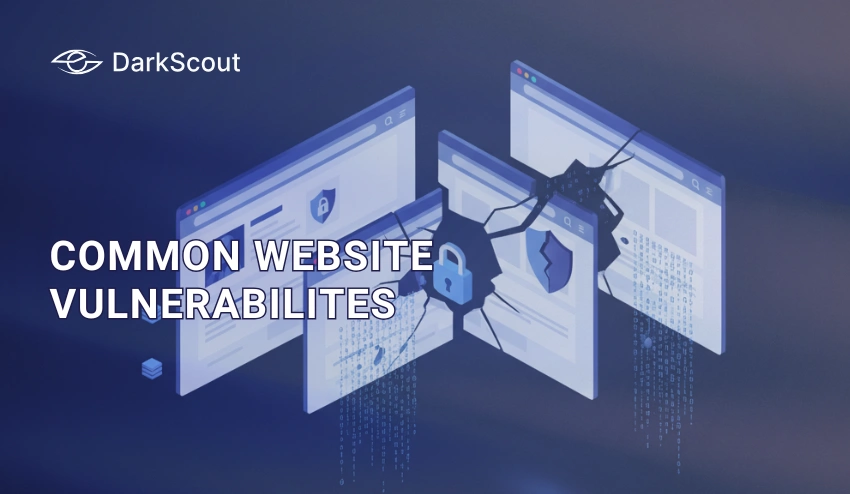 Common Website Vulnerabilities