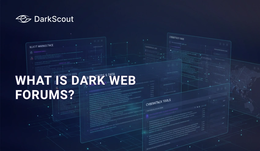 Dark Web Forums