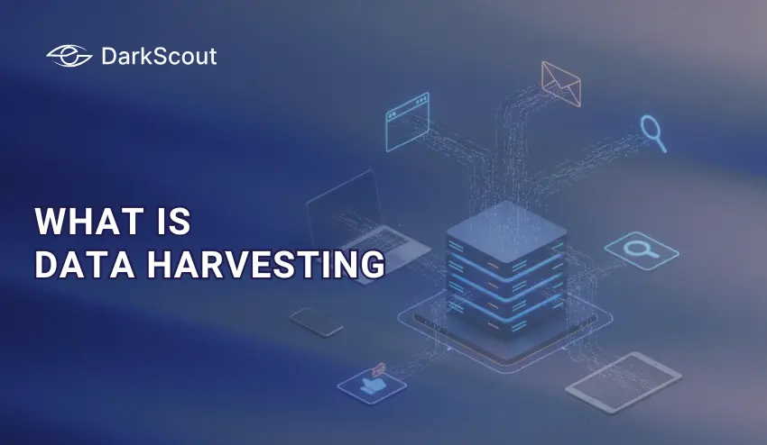 What Is Data Harvesting? Risks, Examples, and Prevention