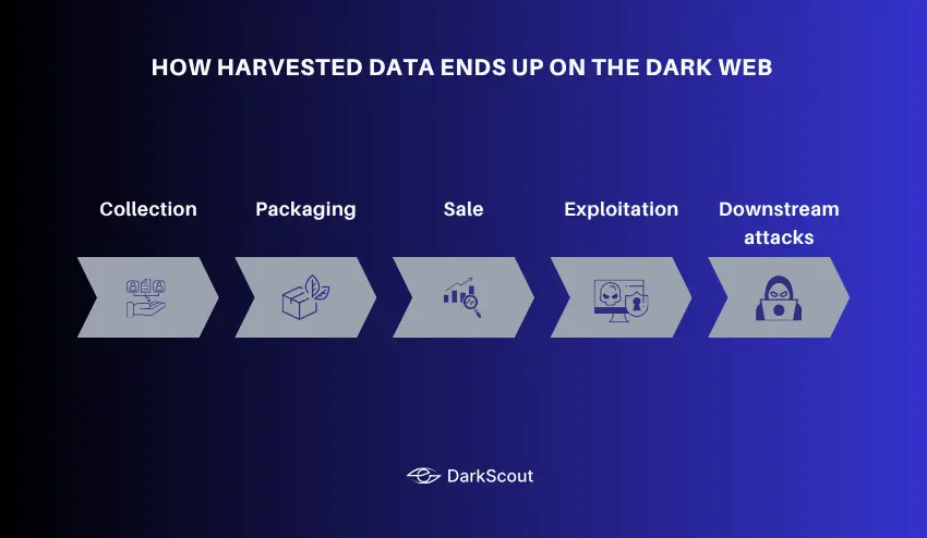 How Harvested Data Ends Up on the Dark Web