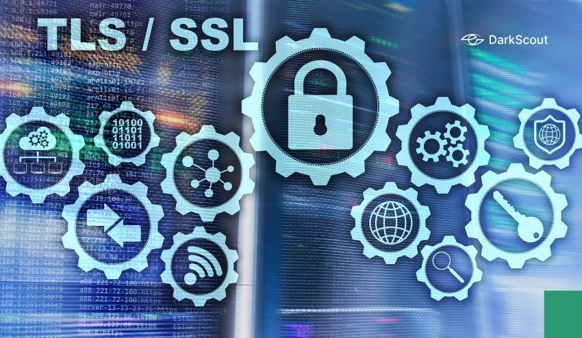 SSL/TLS website
 Security Check