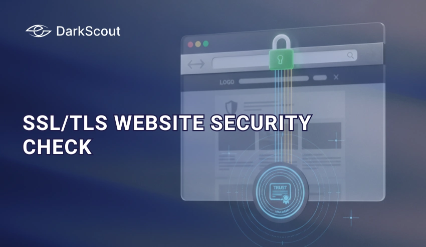 SSLTLS Website Security Check