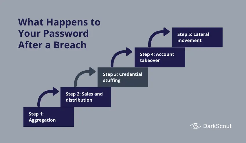 What Happens to Your Password After a Breach