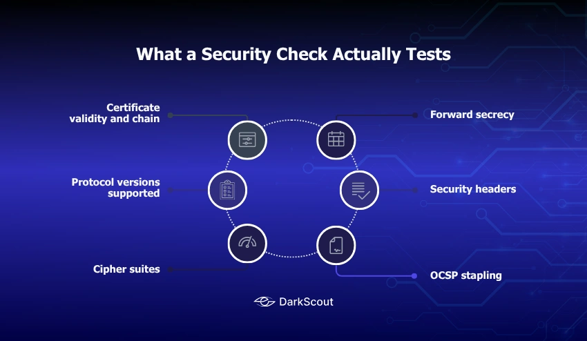 What a Security Check Actually Tests