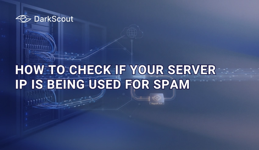 How to Check If Your Server IP Is Being Used for Spam