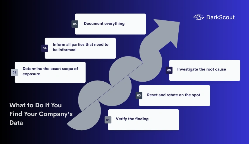 What to Do If You Find Your Company's Data