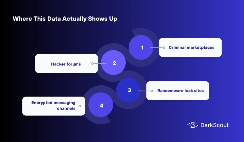Where This Data Actually Shows Up